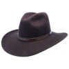 Biltmore Huntley Wool Fedora Hat